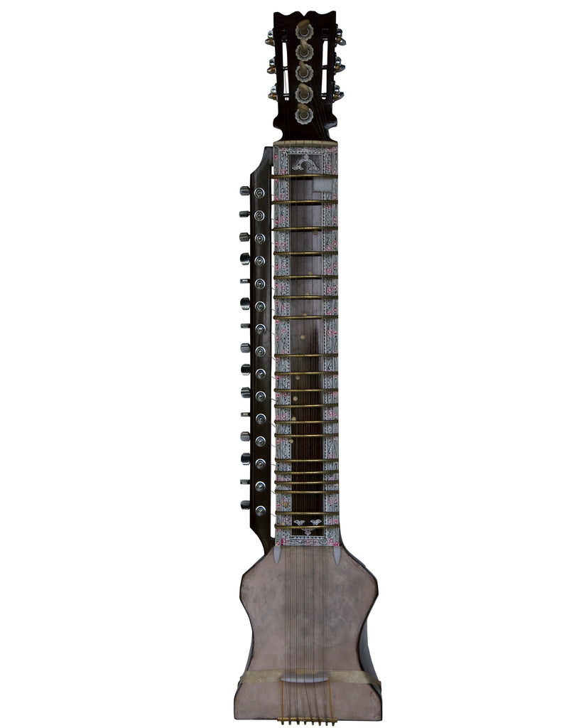 Kanai Lal & Sons Dilruba, Concert Quality, Special Horse Hair Bow, Fiber Case, Extra Strings Set, Rosin, Special Dillruba (SM-DDD)