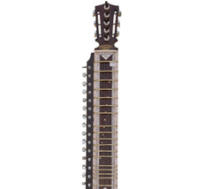 Monoj K Sardar Dilruba, Concert Quality, Special Horse Hair Bow, Fiber Case, Extra Strings Set, Rosin, Special MKS Dillruba (SM-AFD)