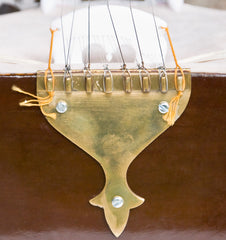 Kanai Lal & Sons Dilruba, Concert Quality, Special Horse Hair Bow, Fiber Case, Extra Strings Set, Rosin, Special Dillruba (SM-DDD)