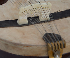 Maharaja Musicals Peacock Dilruba, Pick-up/Audio-Out, Geared Tuning Pegs, Horse Hair Bow, Rosin, Extra String Set, Nylon Bag (SM-AJI)