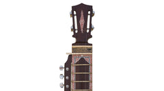 Monoj K Sardar MKS Special Esraj / Israj with Taar Shehnai, Concert Quality, Fiber Case, Special Horse Hair Bow, Rosin, Extra String Set, 4 Strings, Dark Finish (SM-EAH)