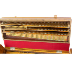 MAHARAJA MUSICALS Premium Calcutta Folding Harmonium - 13 Scale Changer - 4 Reeds -Teak Wood - BBH