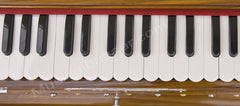 MAHARAJA MUSIALS Calcutta Folding Harmonium - 9 Scale Changer - Natural Wood Color - AGI